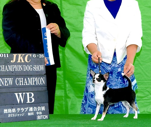 在舎犬 3