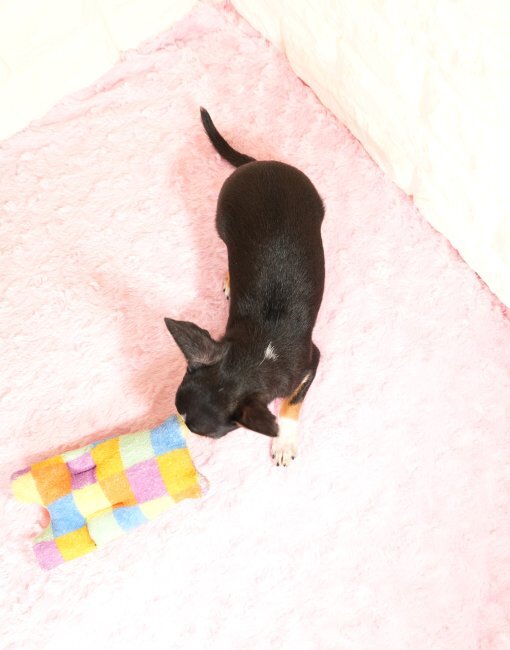 可愛いお顔の女の子です(^_^)